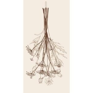 Servéttur IB Laursen -16 í pakka