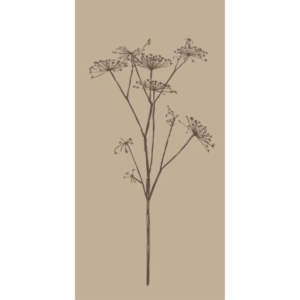 Servéttur IB Laursen - 16 í pakka